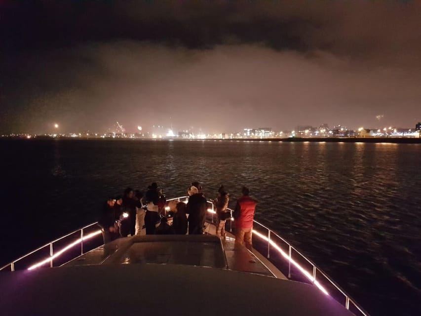 Reykjavík: New Year's Eve Northern Lights Yacht Cruise - Comfort, seasickness, and age limits