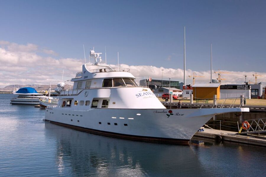 Reykjavik: New Years Fireworks Midnight Cruise - Should you book the Amelia Rose?