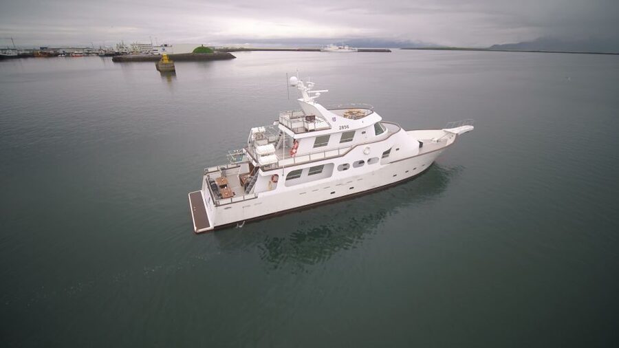Reykjavik: New Years Fireworks Midnight Cruise - A possible northern lights bonus