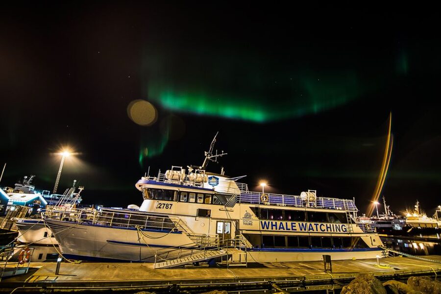 Reykjavik: Northern Lights Guided Boat Tour - Reaching Darker Water in 15 to 30 Minutes