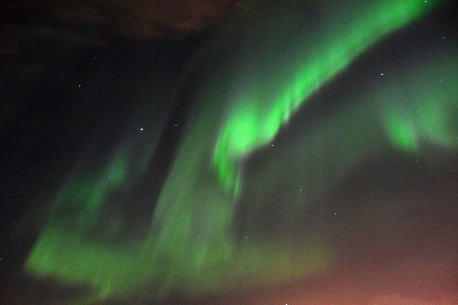 Reykjavik: Northern Lights Guided Boat Tour - Is $106 a Fair Price?