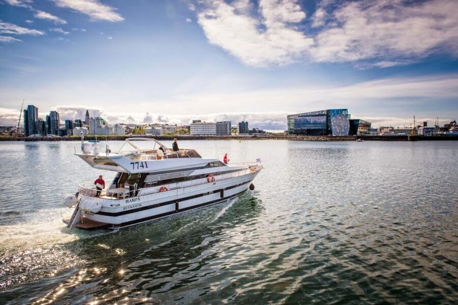 Reykjavik: Northern Lights Motor Yacht Cruise - Is $99 a fair price?