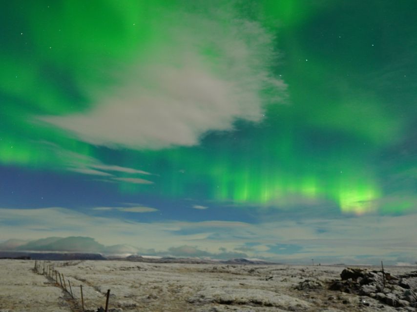 Reykjavik: Northern Lights Tour w/Pro Photos - Small Group - What happens when the aurora appears
