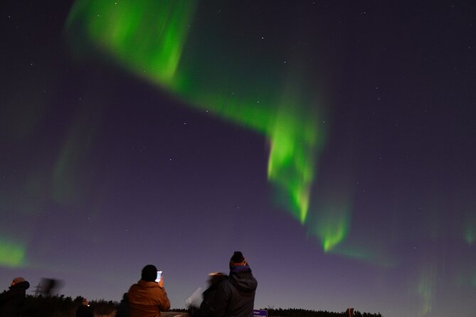 Reykjavik Northern Lights Tour with Pro Aurora Photos Small Group - The real value of $148.50