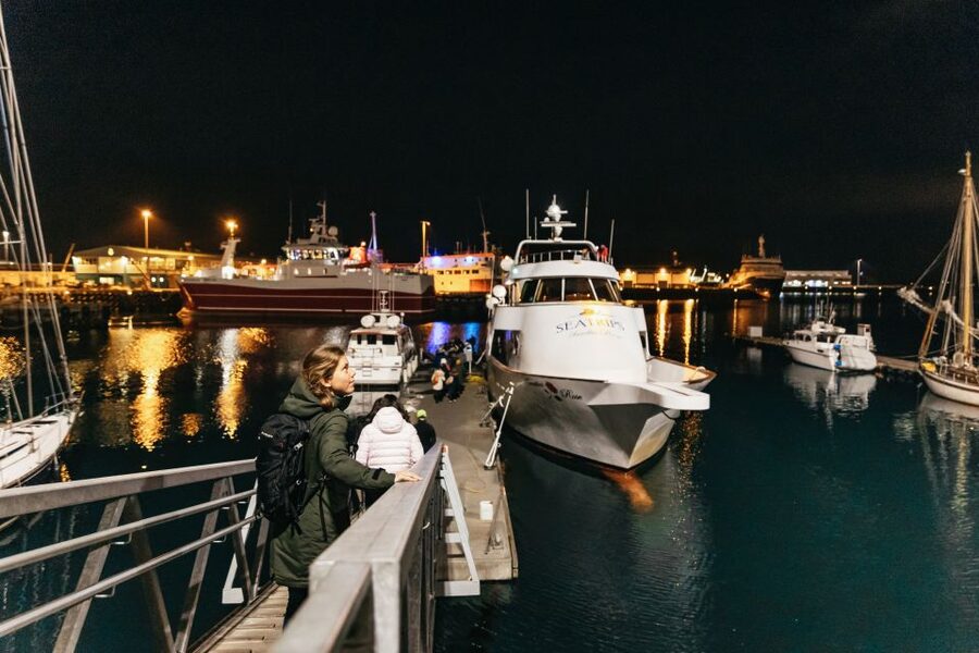 Reykjavik: Northern Lights Yacht Tour - Who will like this cruise most