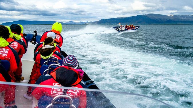 Reykjavik Premium Puffin tour | Close Up and Personal - Weather, comfort, and the risk of disappointment