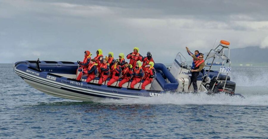 Reykjavik: Premium Whale Watching with Flexible Ticket - What the two-hour route feels like