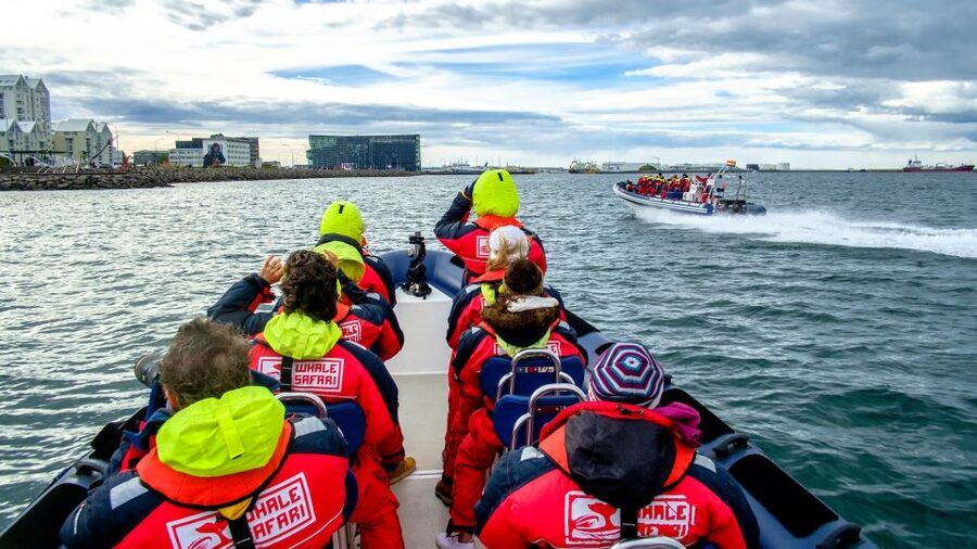 Reykjavik: Premium Whale Watching with Flexible Ticket - Is $202 a fair price?