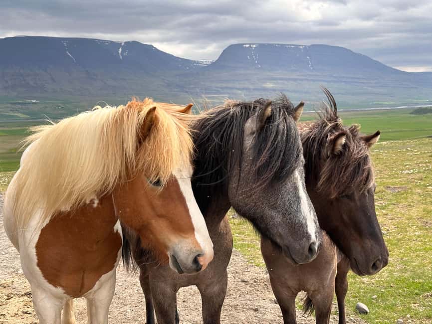 Reykjavik: PRIVATE Golden Circle tour with 5 TOP stops - Brúarfoss adds a smaller, quieter contrast
