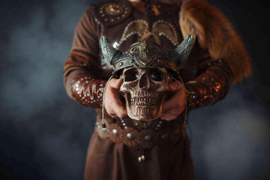 Reykjavik: Private Icelandic Viking Age Walking Tour - Should you book it?