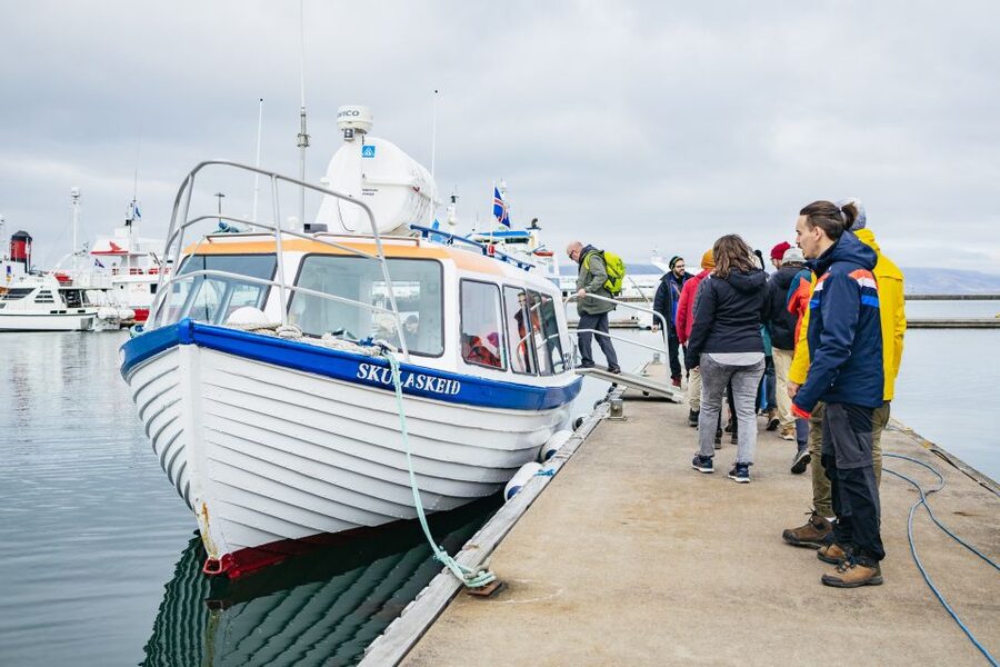Reykjavik: Puffin Watching Boat Tour - Binoculars, cameras, and the art of seeing small birds
