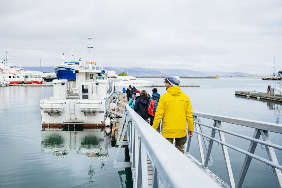 Reykjavik: Puffin Watching Boat Tour - Sea conditions can shape the whole outing