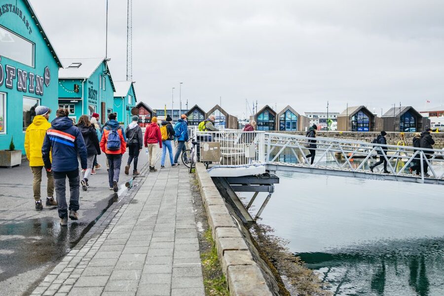 Reykjavik: Puffin Watching Boat Tour - Is $64 a fair price?