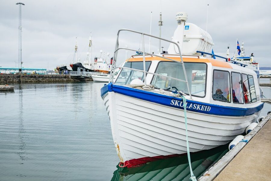 Reykjavik: Puffin Watching Boat Tour - Families, bird fans, and first-time visitors