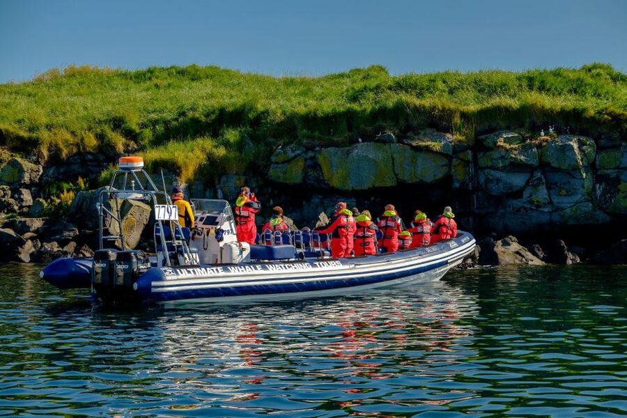 Reykjavik: Puffin Watching Tour - Key points to know before you book