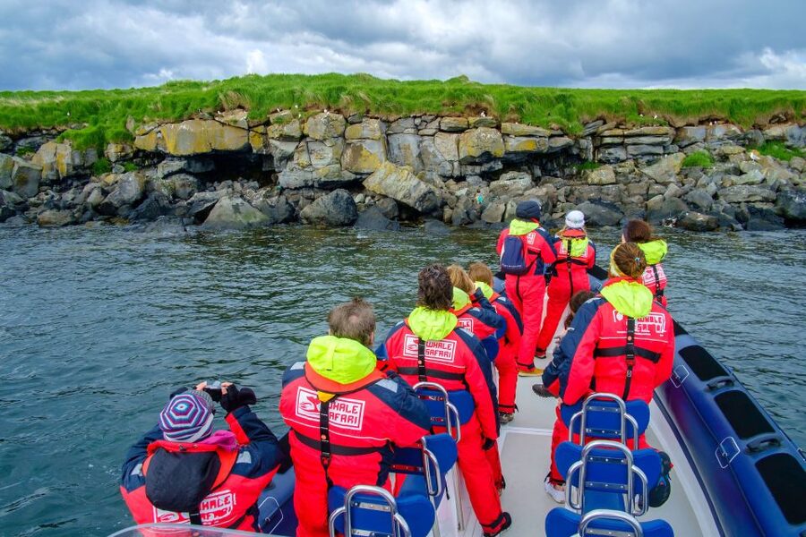 Reykjavik: Puffin Watching Tour - Watching puffins around the nesting islands