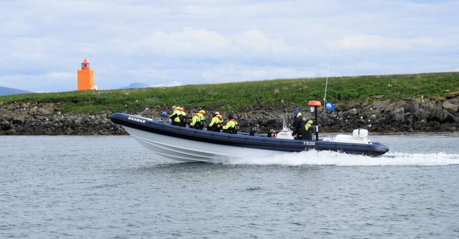 Reykjavik: Puffin Watching Tour by RIB Speedboat - Key points to know before booking