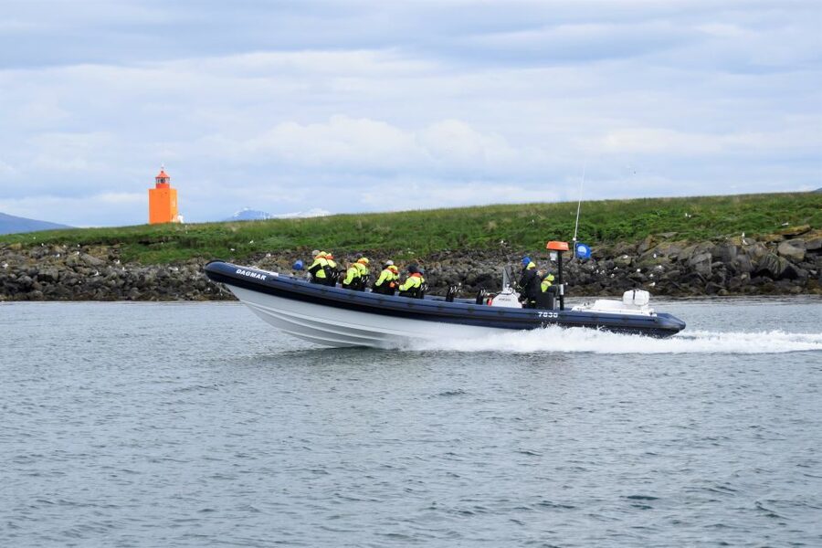 Reykjavik: Puffin Watching Tour by RIB Speedboat - What the guide adds to the hour