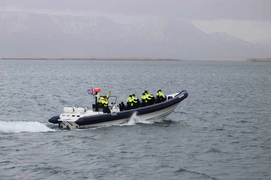 Reykjavik: Puffin Watching Tour by RIB Speedboat - Who should book this puffin trip?