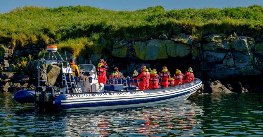 Reykjavik: Puffin Watching Tour - Watching Atlantic Puffins around the small islands