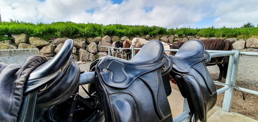 Reykjavik: Red Lava Horse Riding Tour - Weather, clothing, and comfort on the trail