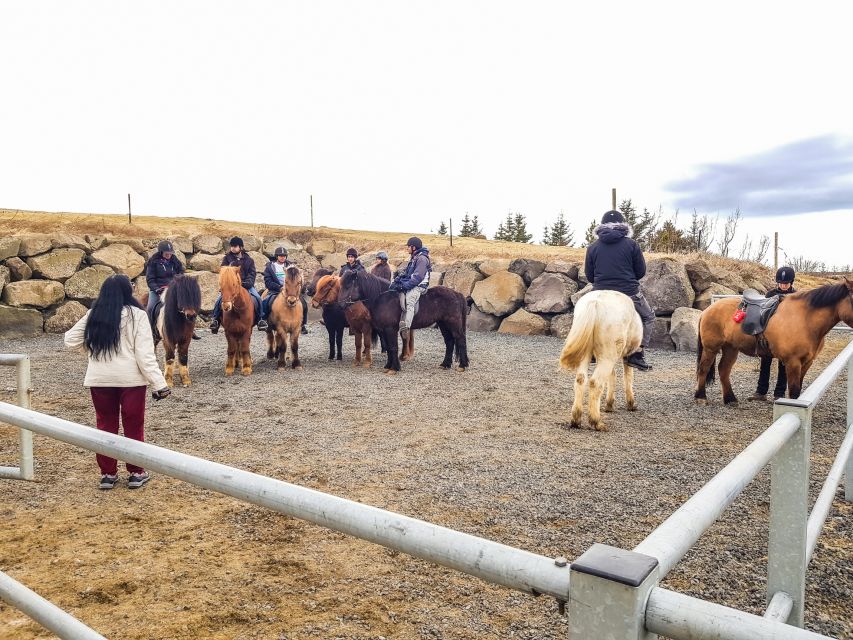Reykjavik: Red Lava Horse Riding Tour - Who should book this Sólhestar ride?