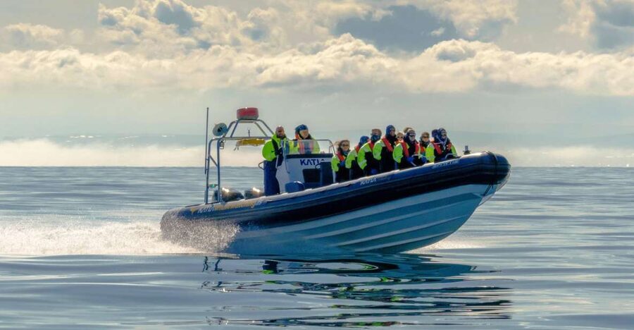 Reykjavík: RIB Speed-Boat Puffin Watching Tour - Who should book this activity