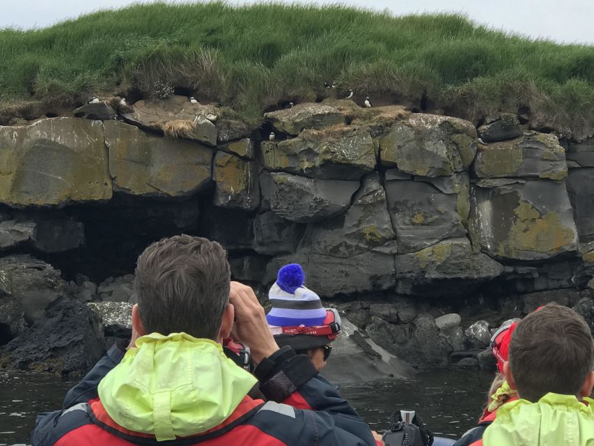 Reykjavík: RIB Speed-Boat Puffin Watching Tour - Practical value at $81