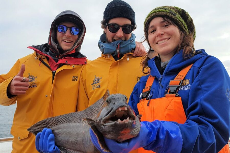 Reykjavik: Sea Fishing Boat Tour & BBQ with the Day's Catch - Practical verdict: should you book it?