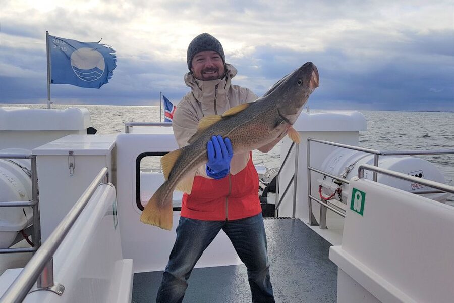Reykjavik: Sea Fishing Boat Tour & BBQ with the Day's Catch - The onboard barbecue and your catch