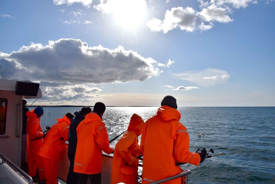 Reykjavik: Sea Fishing Boat Tour & BBQ with the Day's Catch - Who will enjoy this Reykjavík fishing trip?