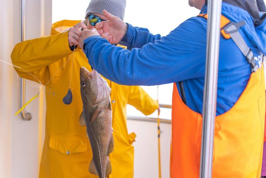 Reykjavik: Sea Fishing Boat Tour & BBQ with the Day's Catch - How the fishing works for beginners