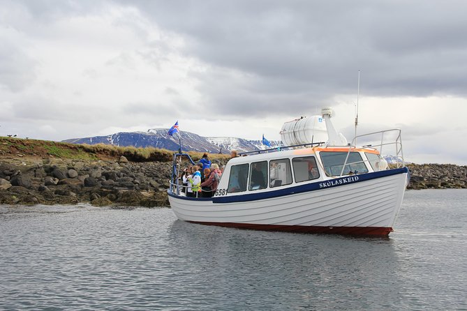 Reykjavik Shore Excursion: Puffin Sightseeing Cruise - Leaving Reykjavik Harbour for Akurey Island