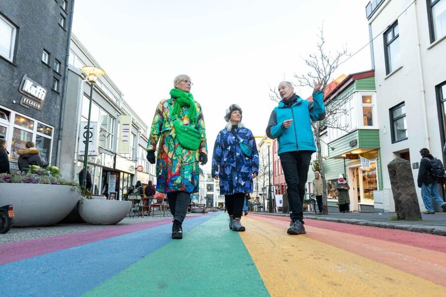 Reykjavik: Sightseeing Walking Tour with a Viking - Austurvöllur and Alþingi: Iceland’s public heart