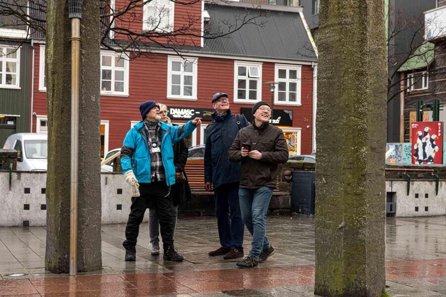 Reykjavik: Sightseeing Walking Tour with a Viking - Hallgrímskirkja and the final walk home