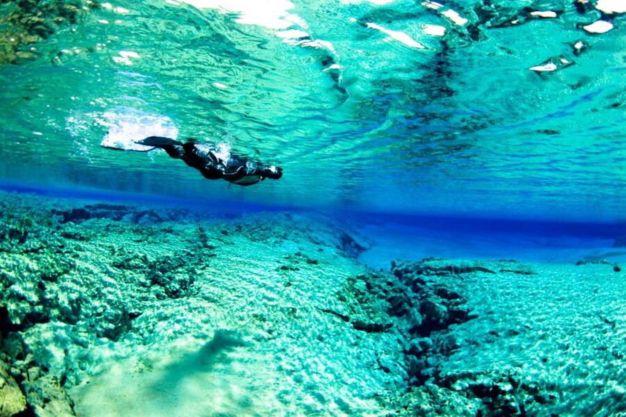 Reykjavík: Silfra Fissure Snorkeling and Lava Caving Tour - What the water actually feels like