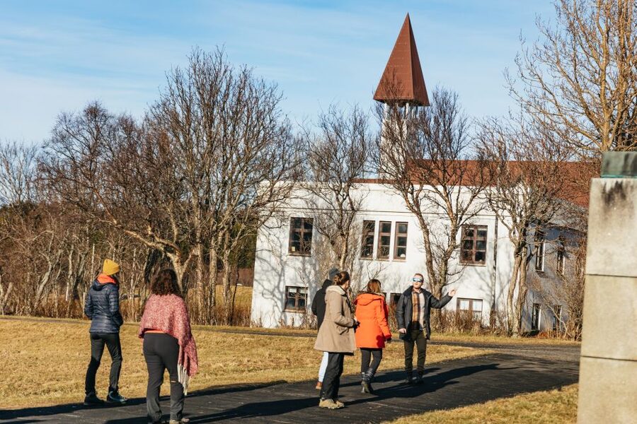 Reykjavik: Silver Circle Tour, Canyon Ride, & Thermal Baths - Guides, vehicles, and the pace of the day