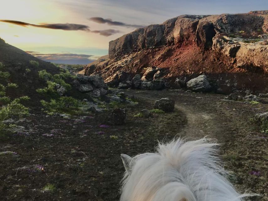 Reykjavik: Small-Group Horse Volcano Riding Tour with Pickup - Meeting your horse and getting comfortable in the saddle