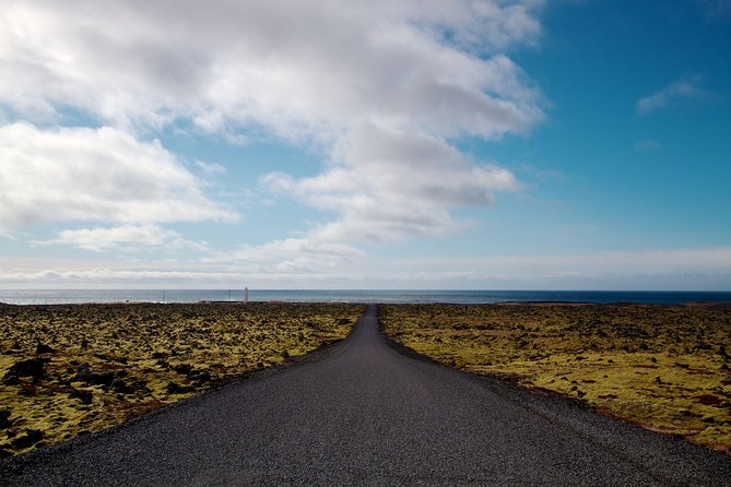 Reykjavik: Snaefellsnes National Park Small Group Trip - Ytri Tunga: seals and a gentler start