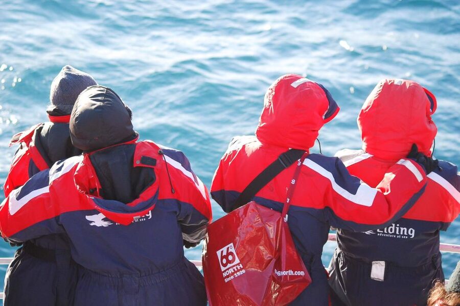 Reykjavik: the Original 3-Hour Whale Watching Tour - Booking details that affect your day