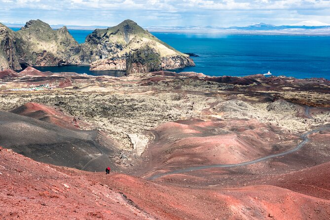 Reykjavik - Westman Islands (Bus transfer to Landeyjahöfn) - Who Will Get the Most from This Service