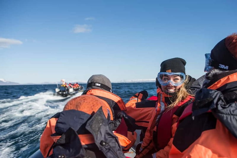 Reykjavik: Whale and Puffin Watching RIB Boat Tour - Searching farther for whales and dolphins