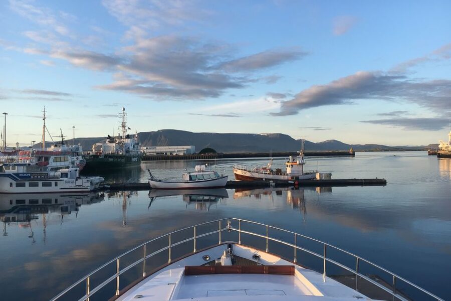 Reykjavik: Whale Watching and Dolphin Watching Yacht Cruise - Finding humpbacks, minke whales, and dolphins