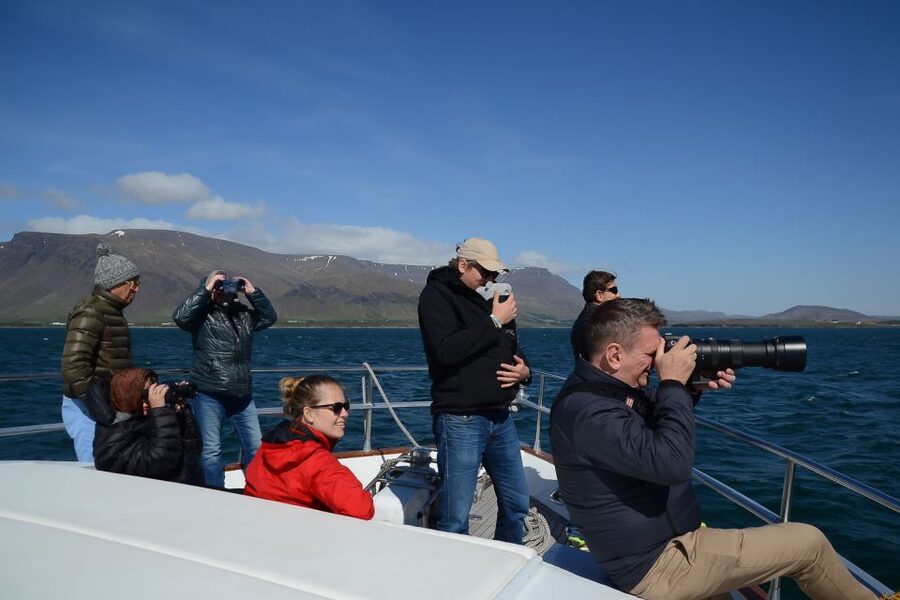 Reykjavik: Whale Watching and Dolphin Watching Yacht Cruise - The guides and the value of expert eyes