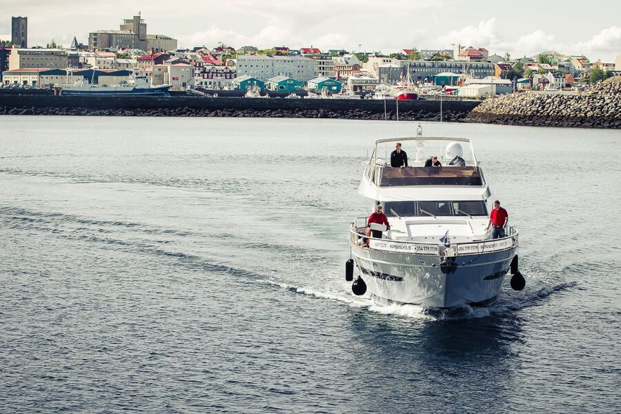 Reykjavik: Whale Watching and Dolphin Watching Yacht Cruise - The first stretch across Faxafloi Bay