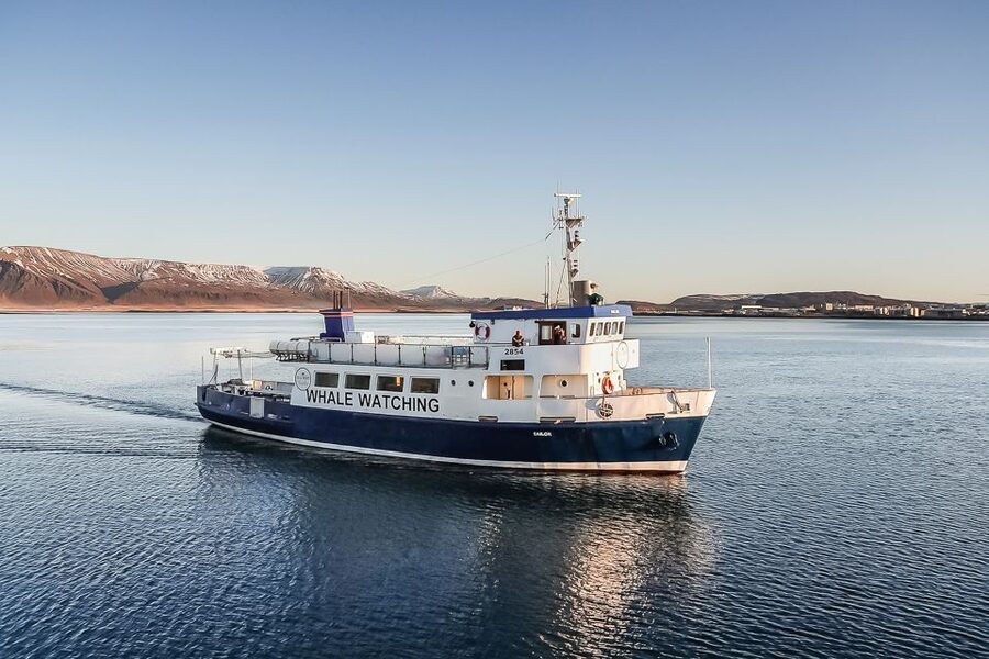 Reykjavík: Whale Watching and Marine Life Cruise - Leaving Reykjavík for Faxaflói Bay