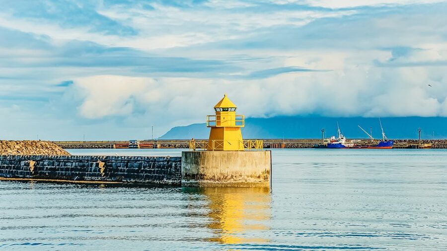 Reykjavík: Whale Watching and Marine Life Cruise - Why respectful whale watching matters