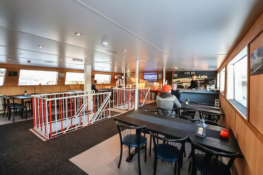Reykjavík: Whale Watching and Marine Life Cruise - Timing your cruise from January to October