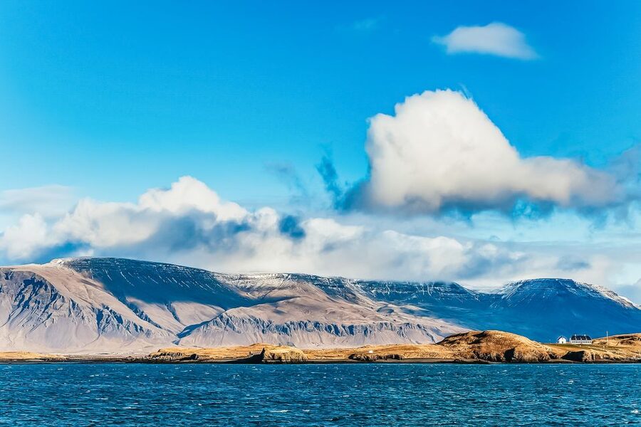Reykjavík: Whale Watching and Marine Life Cruise - Searching for whales with a trained guide