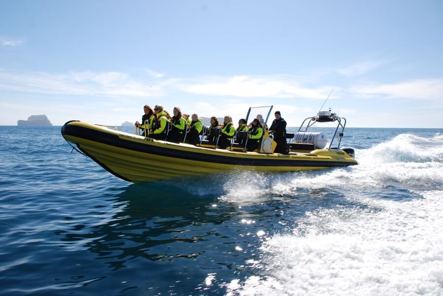 Reykjavik: Whale Watching by RIB Speedboat - Weather can change the plan